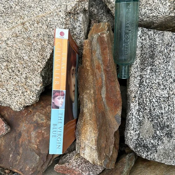 The Virgin Blue by Tracy Chevalier Trade Paperback Edition 2003 - Picture 3 of 4